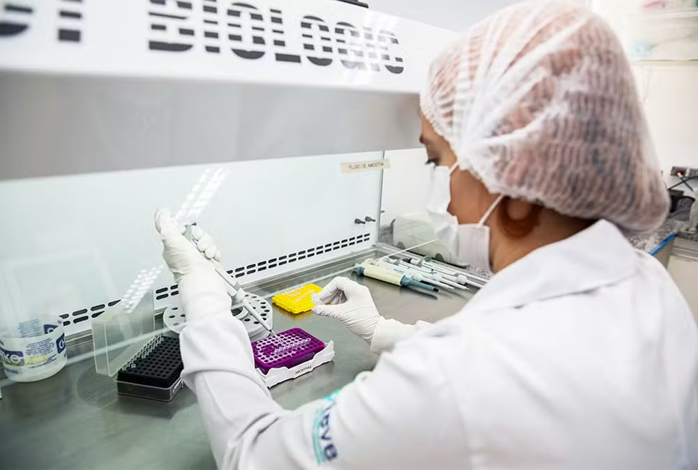 Anvisa Aprova Primeira Vacina Contra Chikungunya